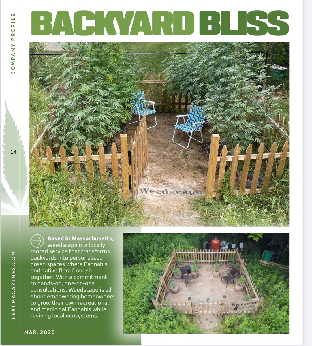 AuthorRonny's tweet photo. Super stoked that my #startup Weedscape I co-own and co-founded is featured in the latest issue of #LEAF #magazine Leaf Magazines #Weedscape #Cannabis #pollinators #gardening #BackyardGarden #Massachusetts #RonnyLeBlanc #ExpeditionBigfoot featured in #NewEngland and #Northeast edition