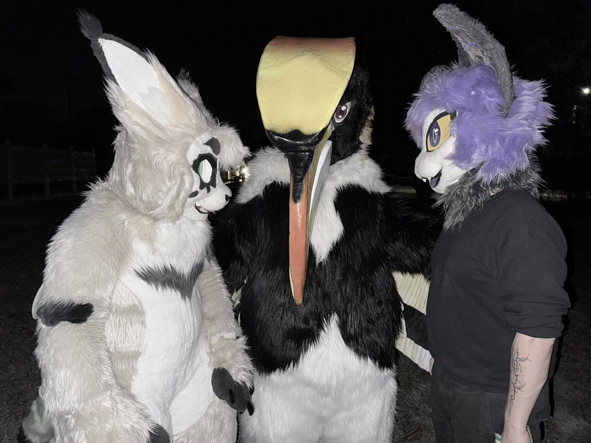 What are they scheming…? 

🐱: <a href="/Westewww/">West 🐠</a> 
🦇: <a href="/RazorTheBat/">Razor🦇</a> 
#fursuit #fursuitfriday #fursuiter #fursuiting #fursuits #furry