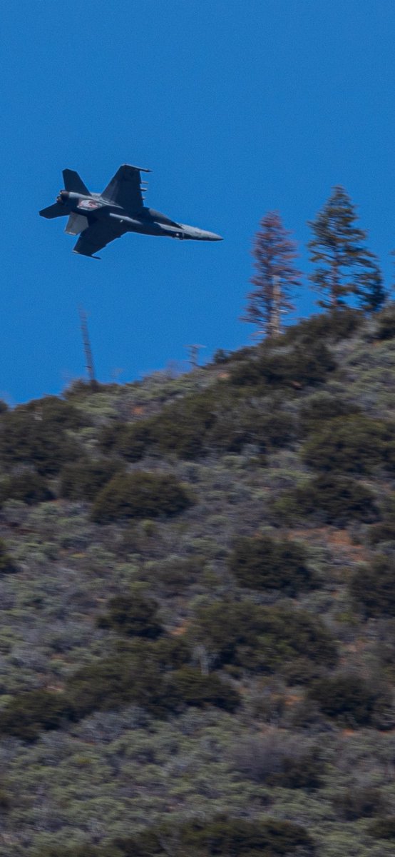 JarodMHamilton's tweet image. Freestyle 

#f18