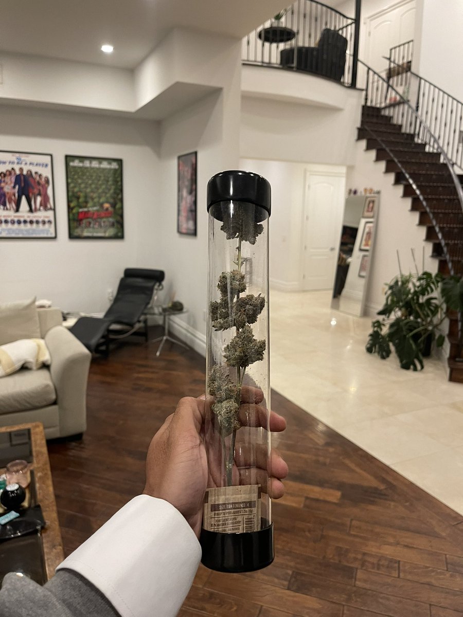 Bro said “ roll this up “ nigga this a tree 😒