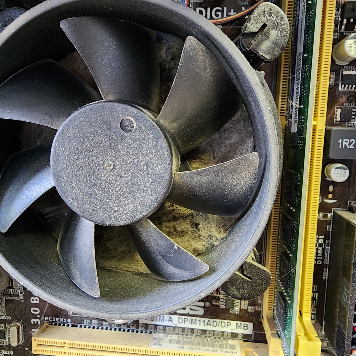 myriadcorp's tweet image. 🚨 PC Maintenance Alert!🚨  
Dust buildup = overheating, slow performance, &amp;amp; crashes! 🖥️💨 Our techs are keeping systems clean &amp;amp; running smoothly.  
Is your PC due for a cleanup? We’ve got you covered! 
🔗 [Book now](zurl.co/5aC2G)  

#TechCleanUp #MyriadTechnologies