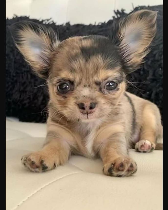 Do ya think l'm a pretty baby ?