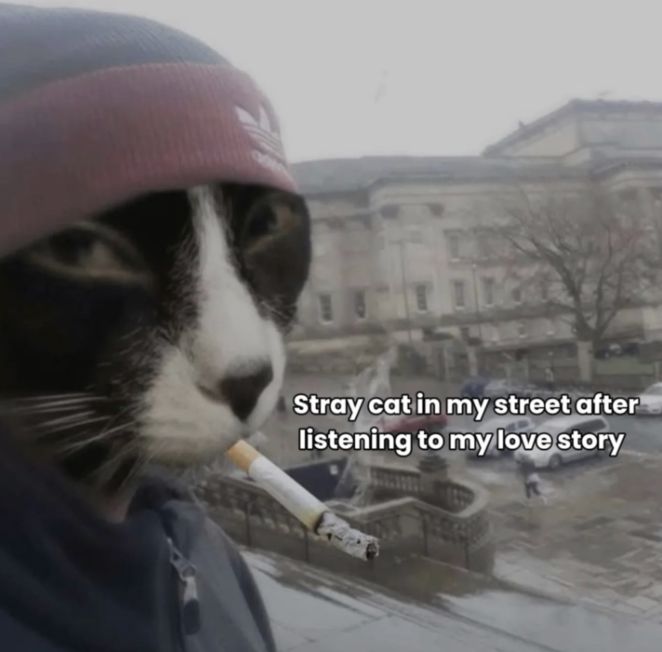 🕐HOURLY🕑 shitpost (@hourly_shitpost) on Twitter photo 
