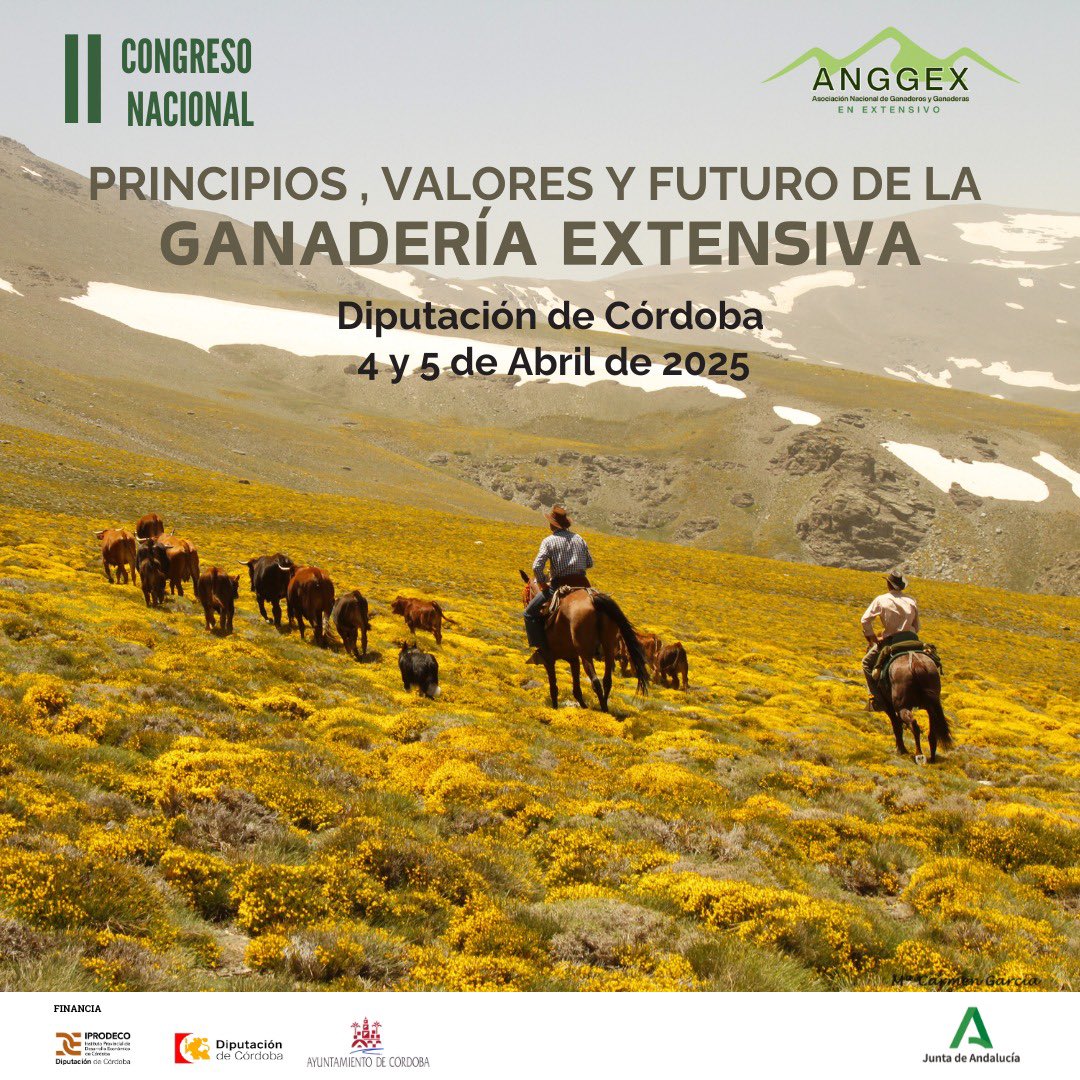 felipe Molina tweet media