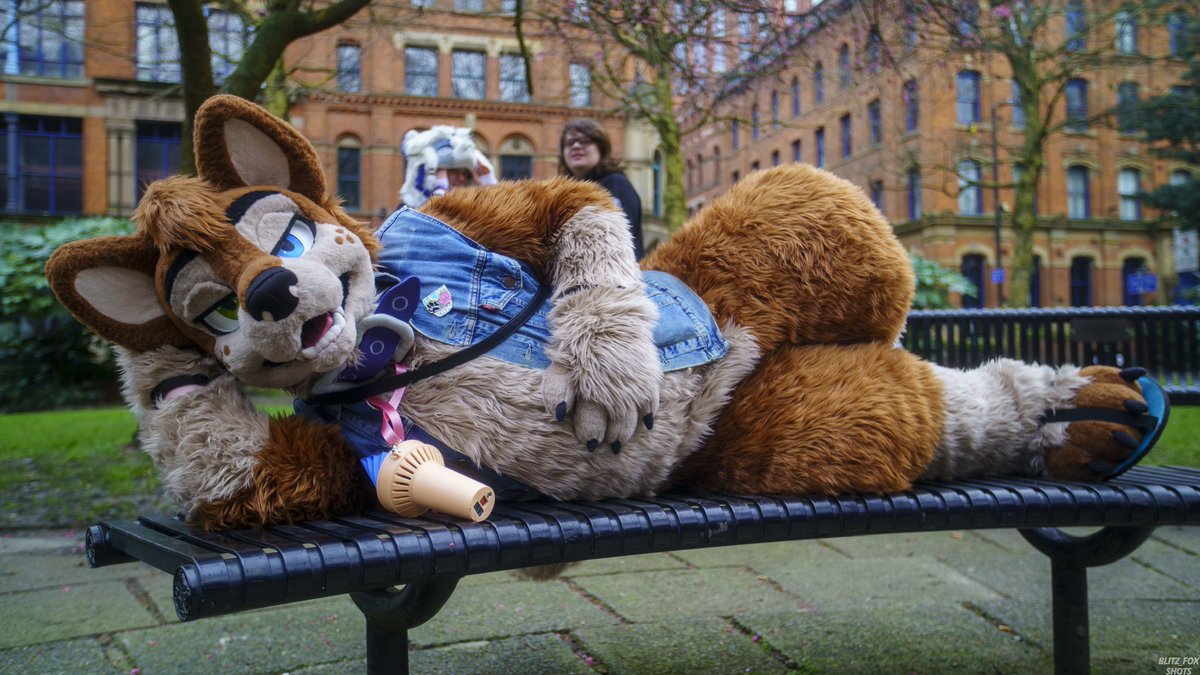 It’s been a while since I’ve posted. So here’s Bradley in his element! #furry #fursuit #fursona #mancfurs