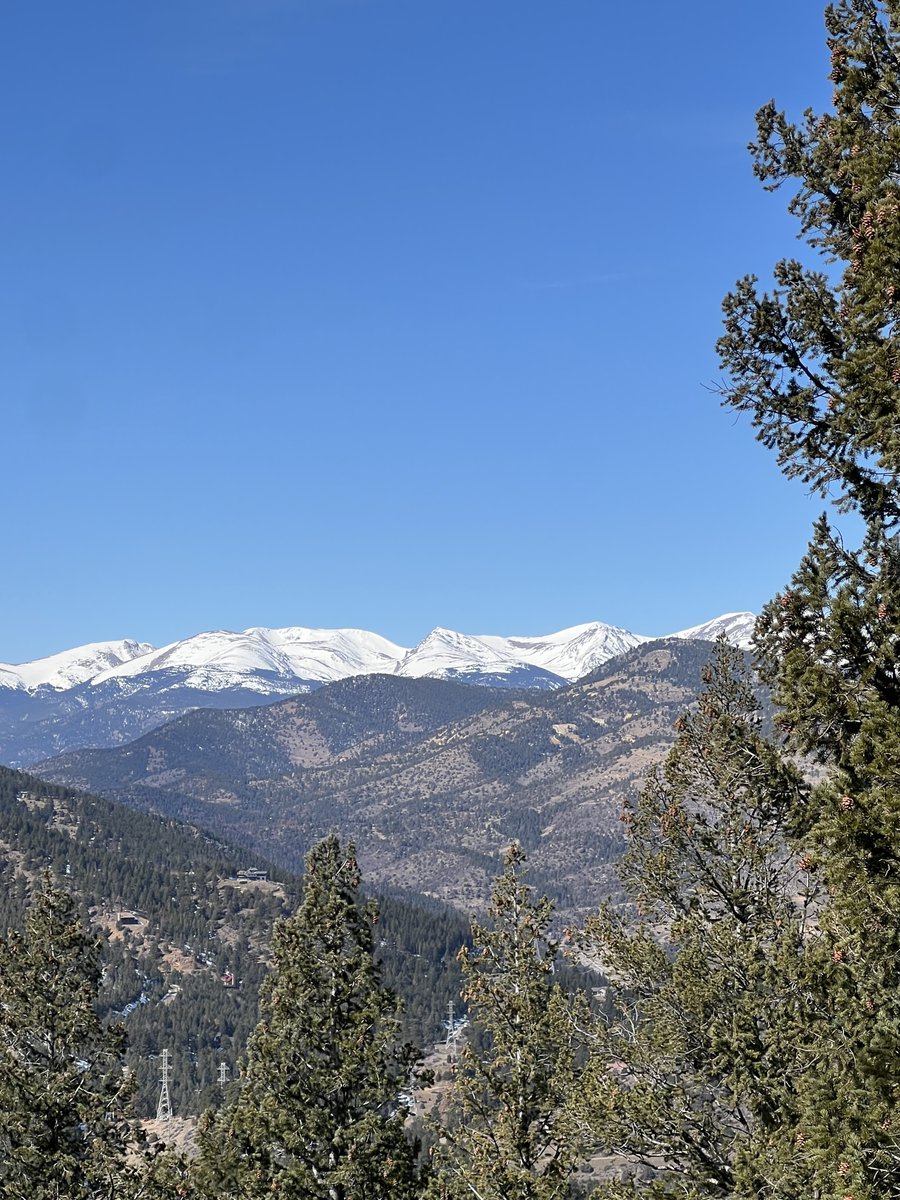 Cordial Systems tweet media