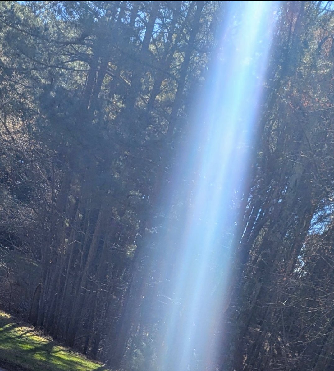 krystallineaura's tweet photo. Cleanse and renew! As clearings are happening don't let any spirits hitchhike of your vibration! Vapor dust only for these vamps 😂 Renewal and empowerment are paving from these clearings so give yourself momentum in light now. Lies are being busted, truth is rising and they suckers are losing grip so keep yourself stable and in the harmonics of diamond light. This is where you forge strong and heal beautifully!