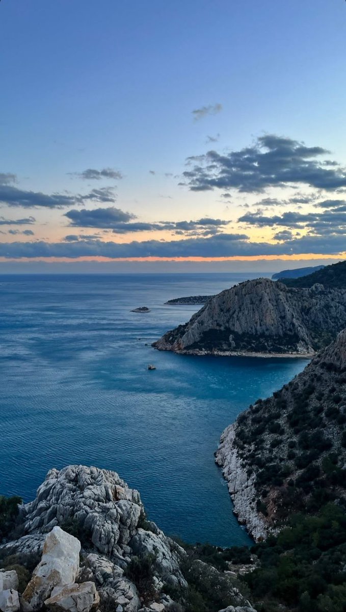 blue dream (@bluedreamvibes) on Twitter photo 