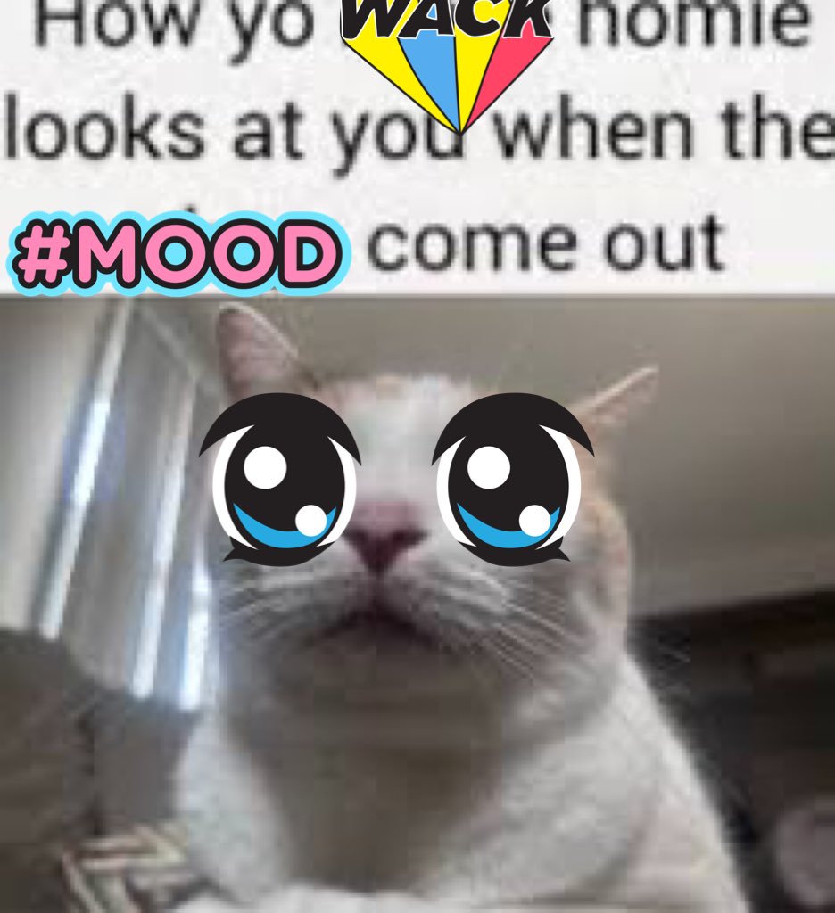 spkwav's tweet image. 