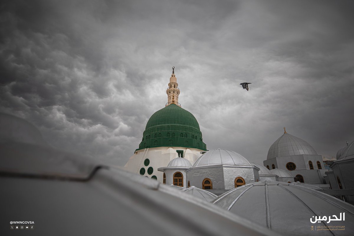 Gidip görmeyi nasip eyle Allah'ım 🤲
Medine-i Münevvere