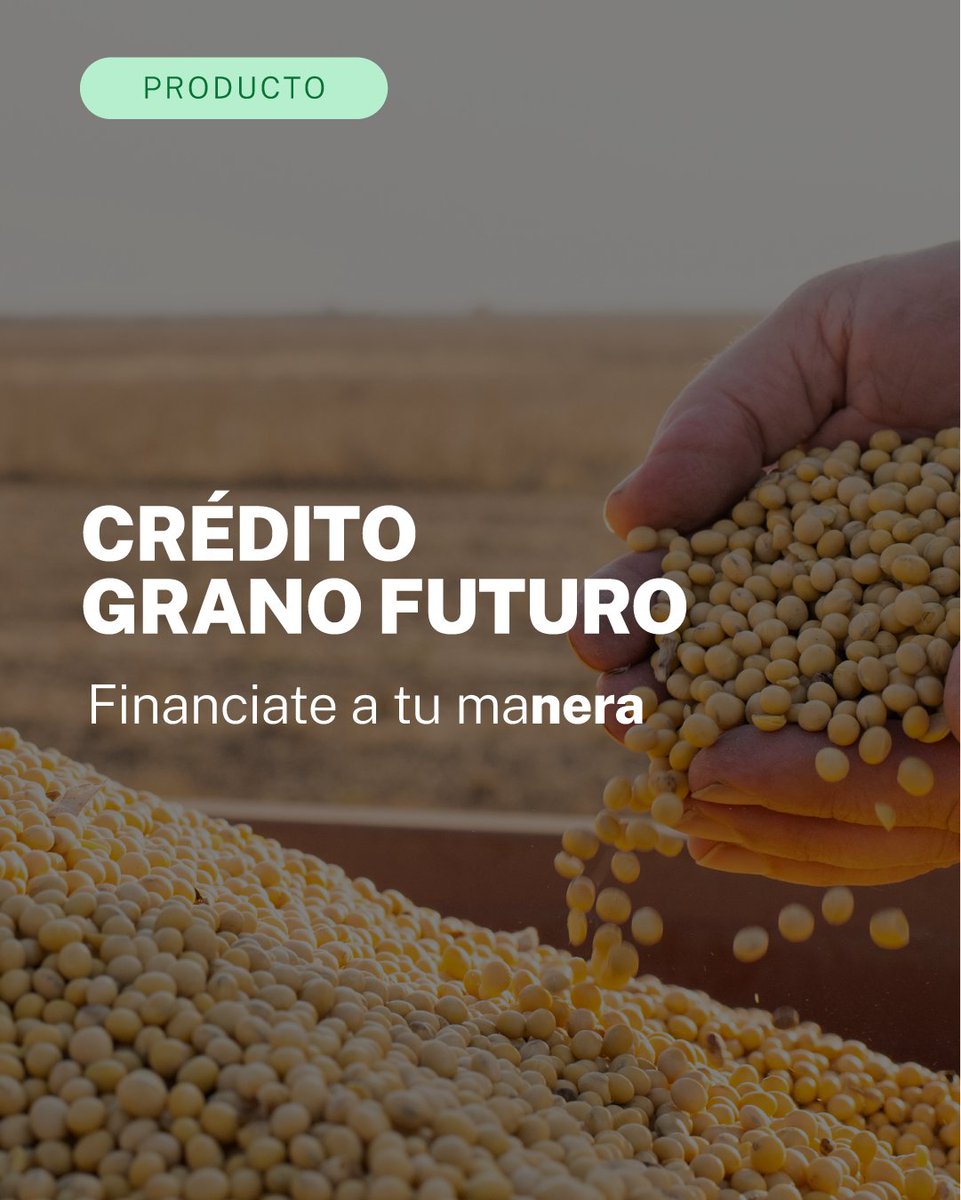 Con Crédito Grano Futuro, vos elegís cómo financiar tu campaña de la manera que más te convenga. 🌿😎

👉 Ingresá a nera-agro.com/productor para conocer más.

#Nera #NeraAgro