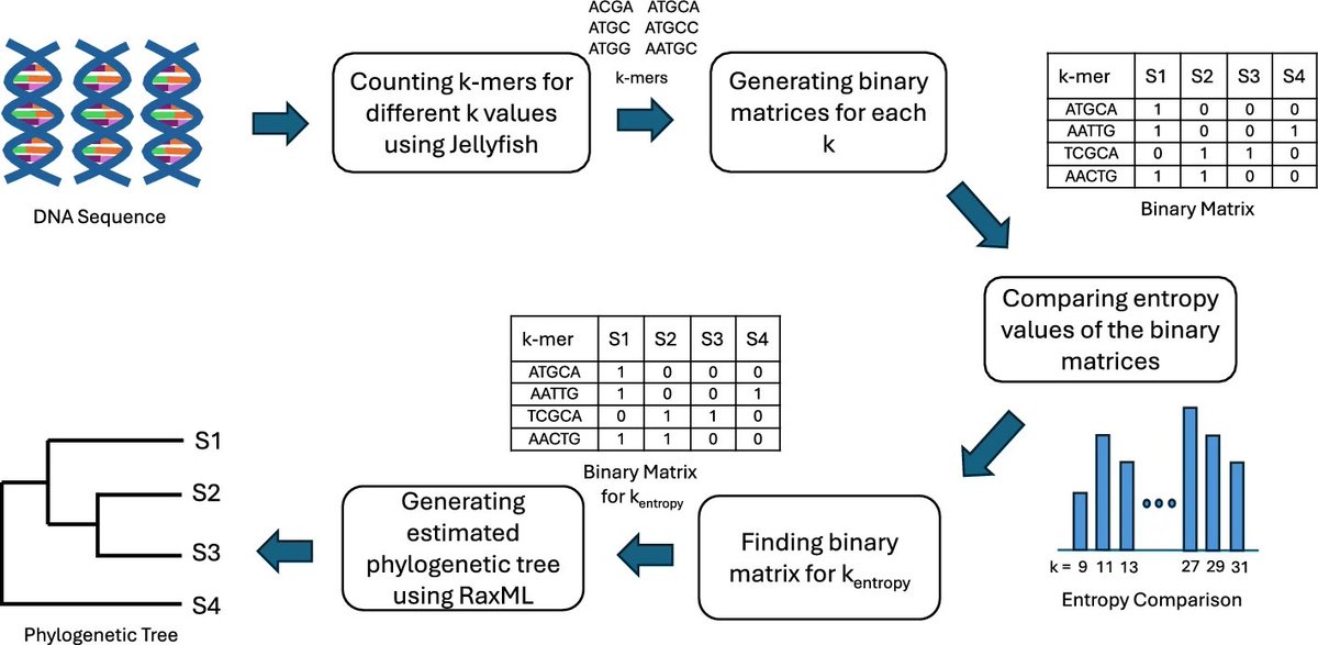 antisense. tweet media