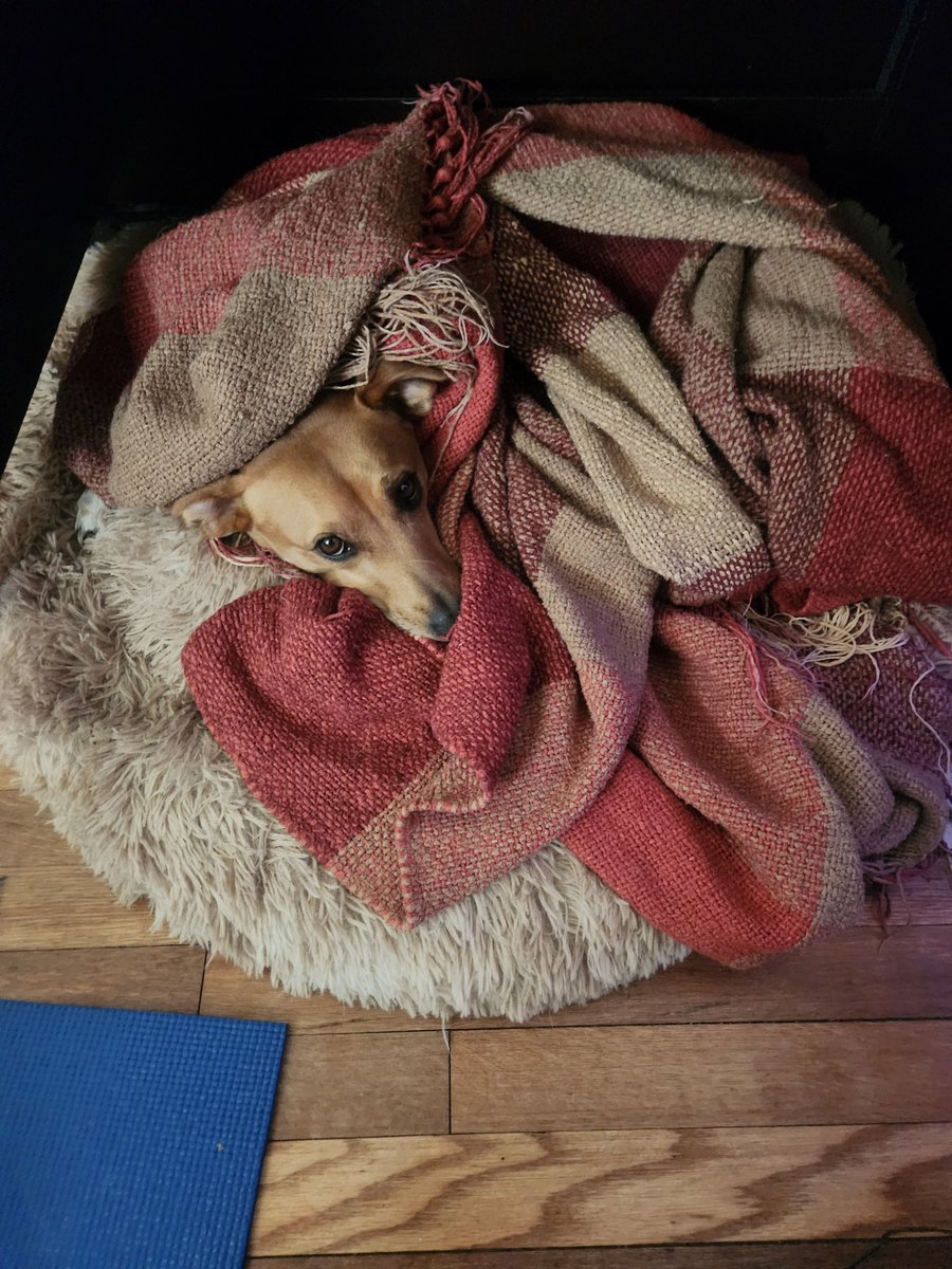its_me____Allen's tweet photo. I'm not comfy unless my boys are comfy https://t.co/V8cAjK9urf