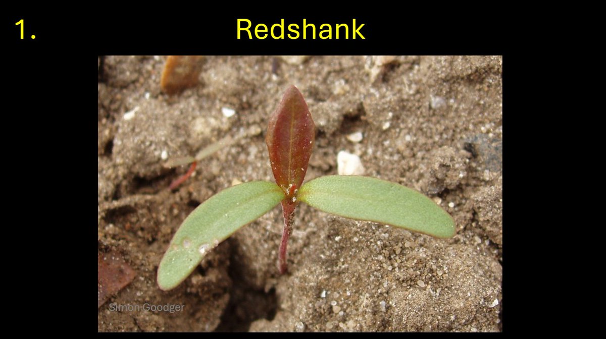 Simon Goodger tweet media