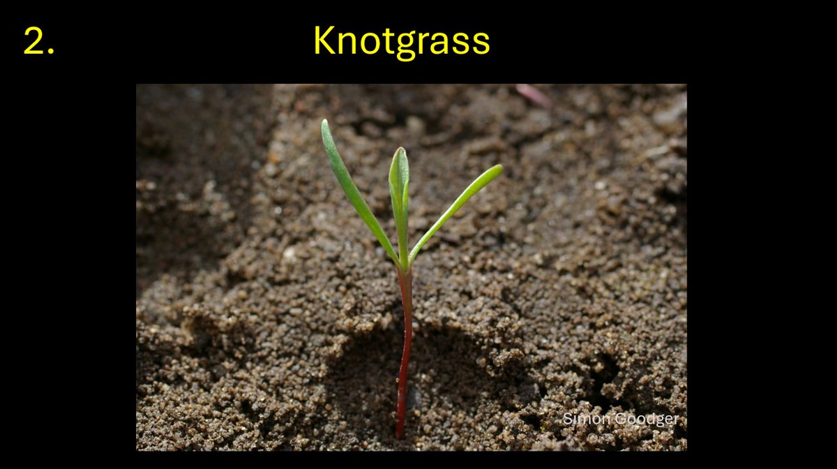 Simon Goodger tweet media