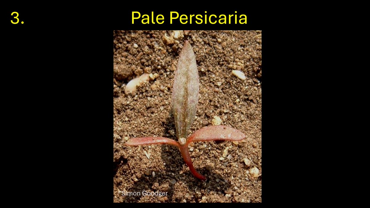 Simon Goodger tweet media