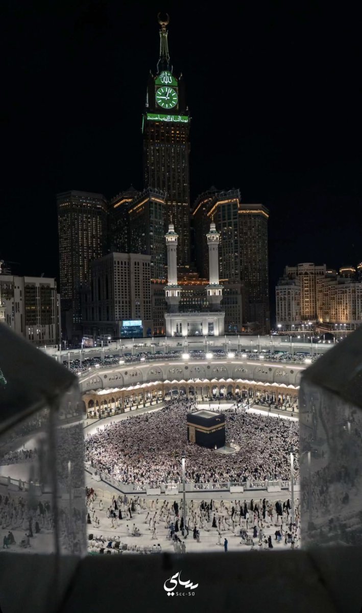 The Holy Mosques (@theholymosques) on Twitter photo 