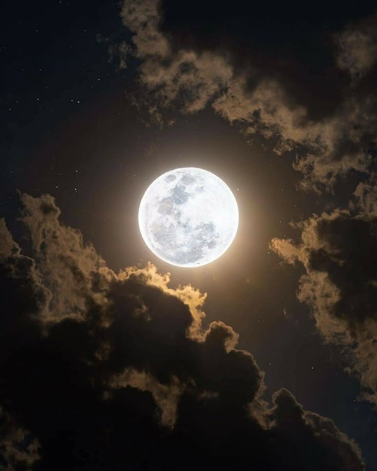 IntegralOffical's tweet photo. To The Moon https://t.co/JZR8ylj0t6