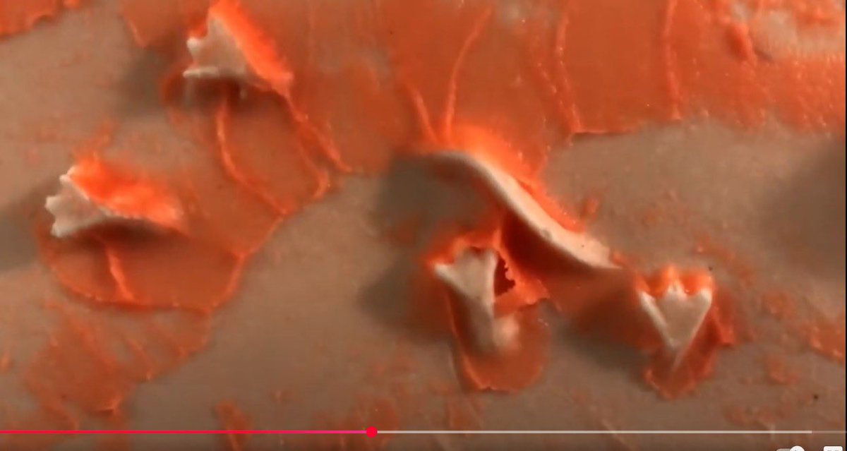 The best way to learn about something is to experience it!! Today's video walks us through how to make our own trace fossil:

thecreationclub.com/experience-geo…