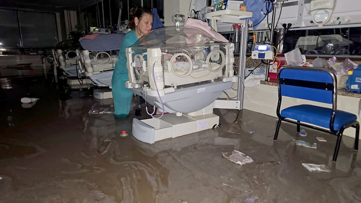 Eli Möhle tweet media