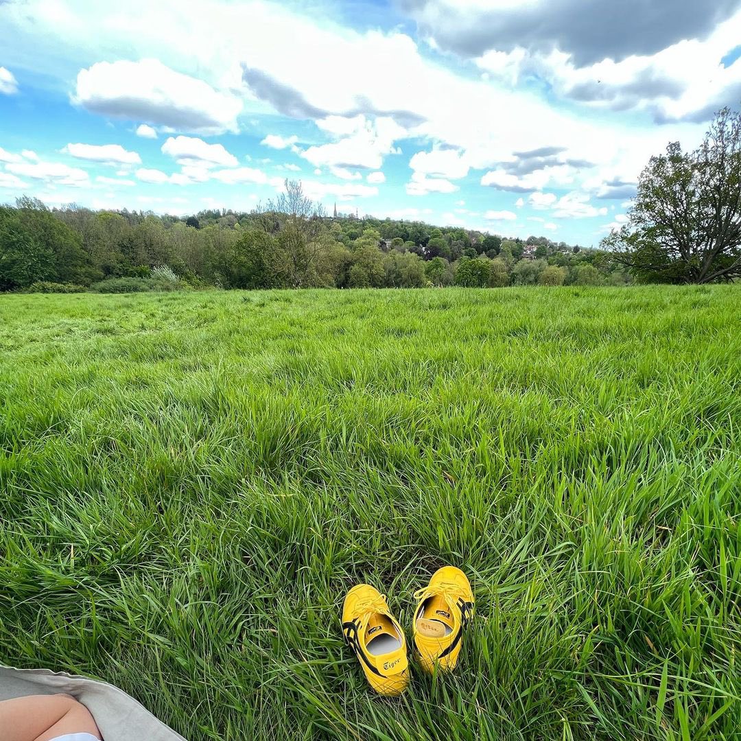 vibes for spring 🌈