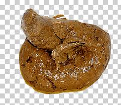 pedrogu59's tweet photo. @Albert_Rudo @Myrka_Dellanos @lamesacaliente @Claudiashein @POTUS Díganle a @Myrka_Dellanos que se le cayó lo que tiene en su cavidad craneana,,,💩🤢💩🤢. https://t.co/EdU7OM6TY7