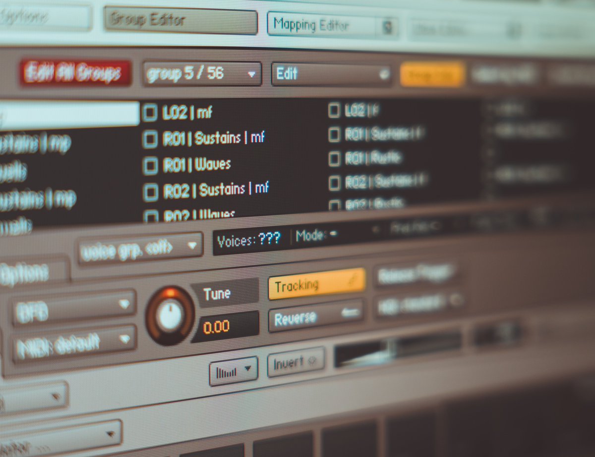 filipe 🪁 music composer • samplist tweet media
