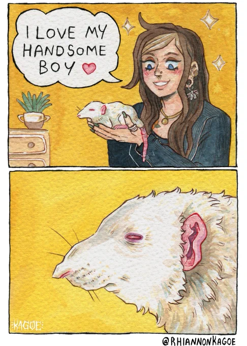 handsome boy 🐀✨ 