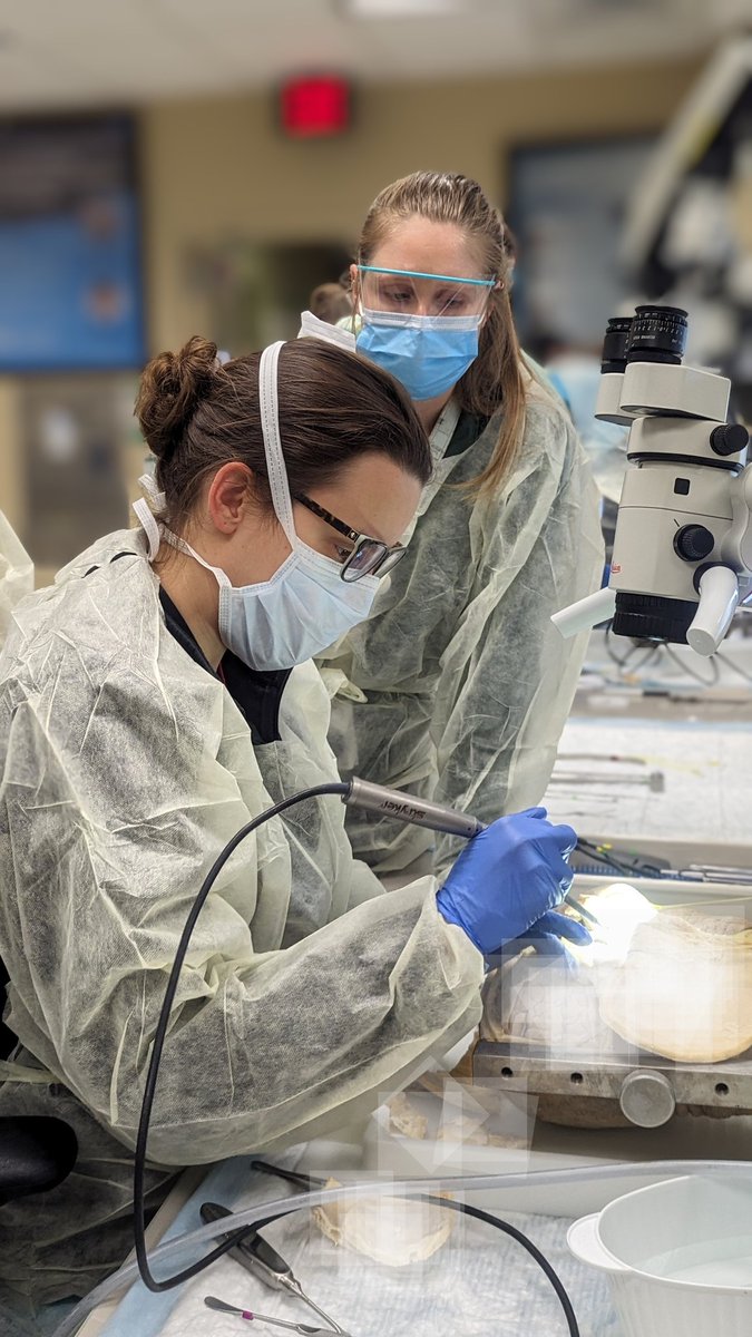 UNCneurosurgery's tweet photo. Thank you to the amazing female physicians, APPS, nurses &amp; residents for being leaders in patient care, research, &amp; education @UNC_Health_Care. 
#InternationalWomensDay #WomenInSurgery #WomenInMedicine #WomensDay https://t.co/L9m0IkMccv