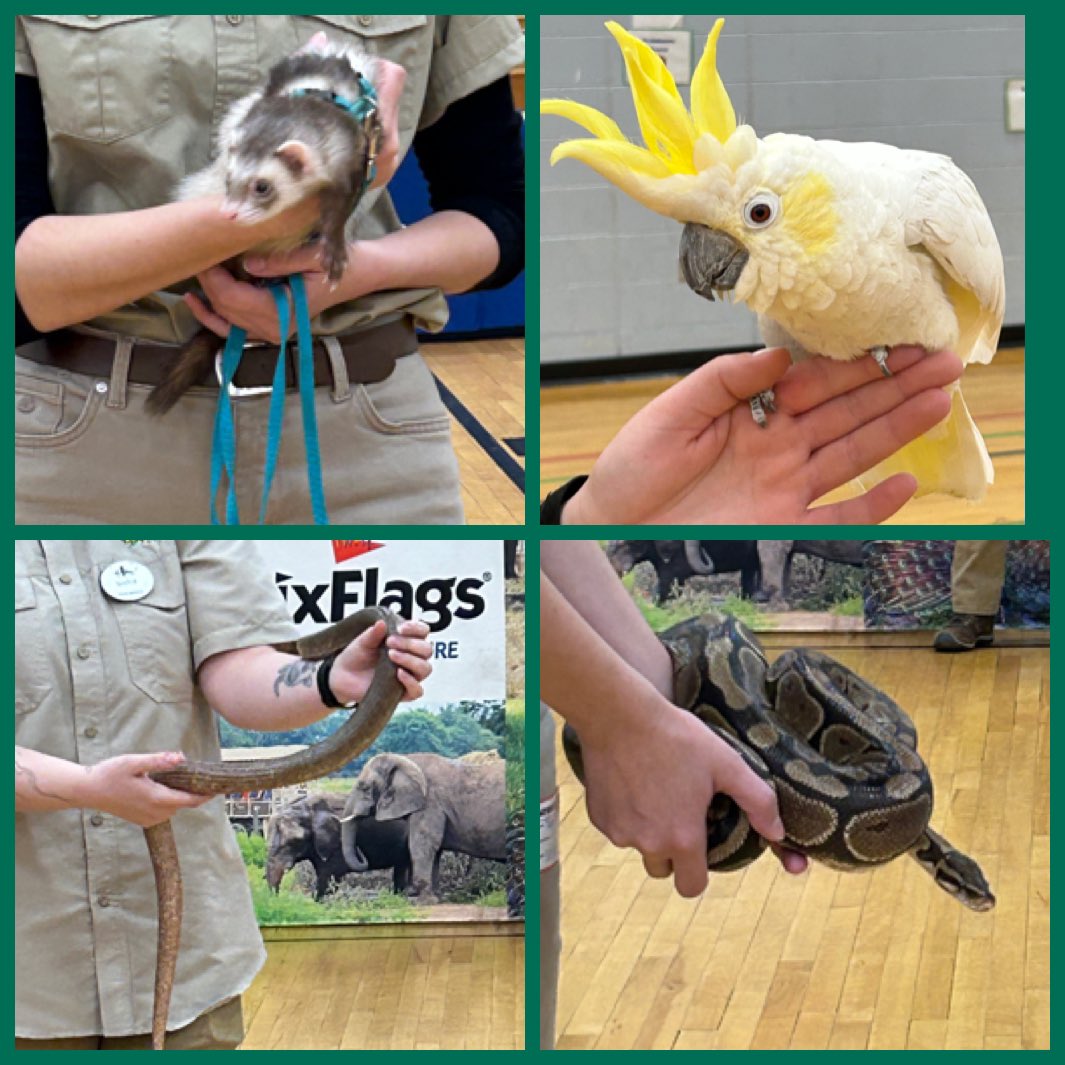 Our ELC was “Wild About Reading” today as we  shared our morning with our friends from Six Flags Safari!! Thank you PTO for bringing us this learning experience! #readacrossamerica2025 #HTPSELC