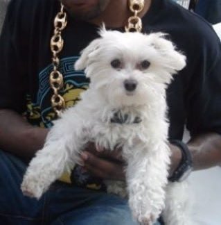 <a href="/blessed_mayor/">₿lessed 𓃵</a> Ca is here 

C5d8LfaFeXsgEPkxoHbvzbGjbVz4fSW2E769Qmg3pump