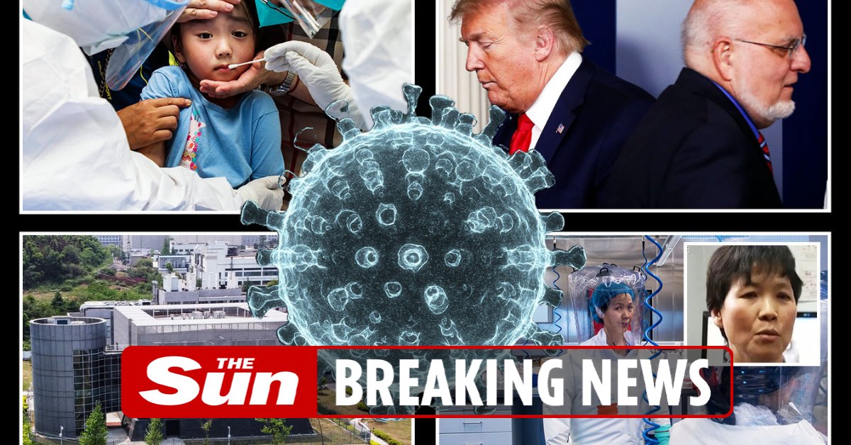 TheSun's tweet photo. Sun doc exposes Wuhan Covid 'lab leak' and US's shock role in it https://t.co/uDDZaLub1T https://t.co/ezjKDjoiV0