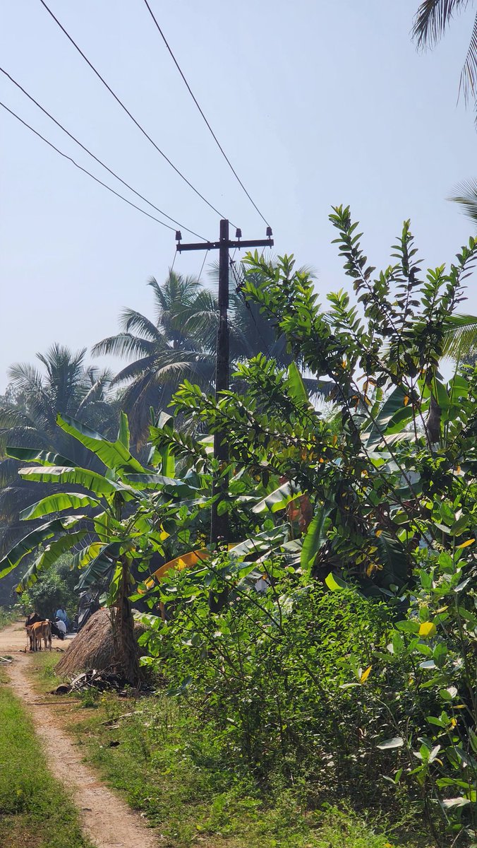 JagadishPranath's tweet photo. @TANGEDCO_Offcl 
A Danger We Ignore.

Ignoring these dangers can lead to accident or even fatalities
 Please prioritize to fix this to ensure our safety.

Don’t wait for disaster to strike—prevent it!

Location: 
Kurumpatti, Krishnagiri-635101

https://t.co/WrVaSxqZFd https://t.co/AFuR5hswN4