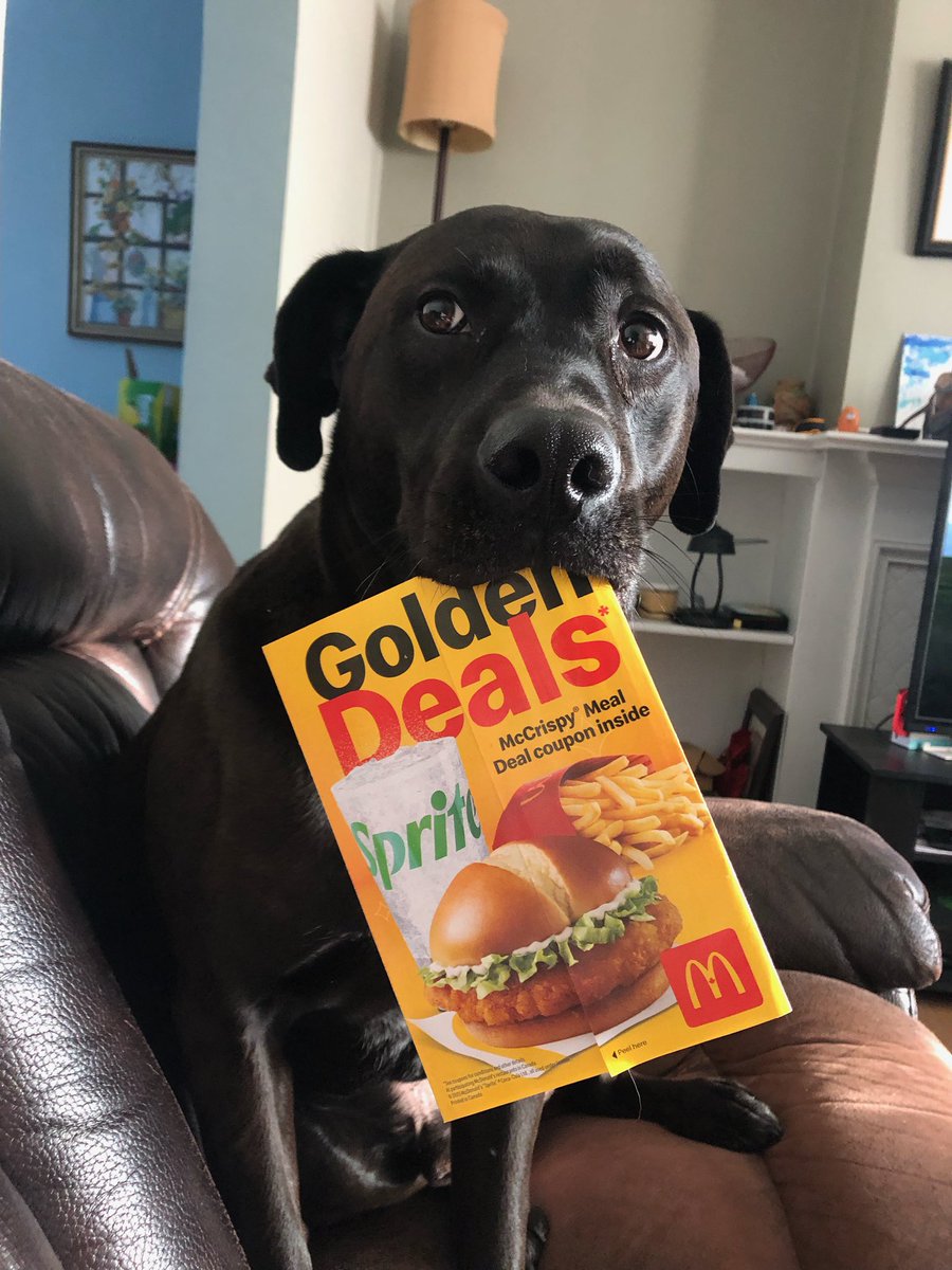 Hank wants McDonald’s for lunch…..