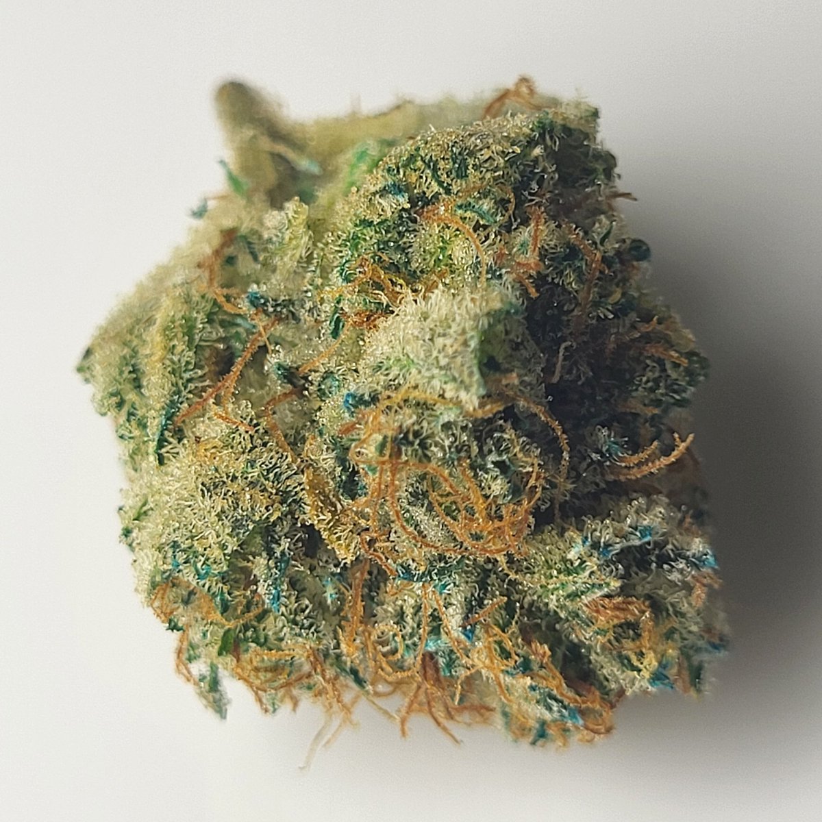 TerpSiren's tweet photo. Tried out the nebula today๐ content coming soon!!
#Mmemberville #stoners #stonerfam #CannabisCommunity #cannabisculture #cannabiscup #hightimes #420community #420friendly #weedmob #WeedLovers https://t.co/hArihVt7F5