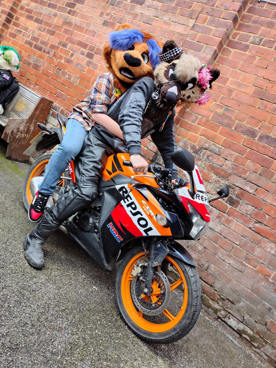 Setcho! π CFz (@mrsetcho) on Twitter photo Let me be your backpack this #FursuitFriday
πΆ <a href="/Gay_Blue_Dog/">π~πΌπππ~π π FE</a>
π· @Kuyowuff
π<a href="/SheffieldFurs/">Sheffield Furmeets</a> Let me be your backpack this #FursuitFriday
πΆ <a href="/Gay_Blue_Dog/">π~πΌπππ~π π FE</a>
π· @Kuyowuff
π<a href="/SheffieldFurs/">Sheffield Furmeets</a>