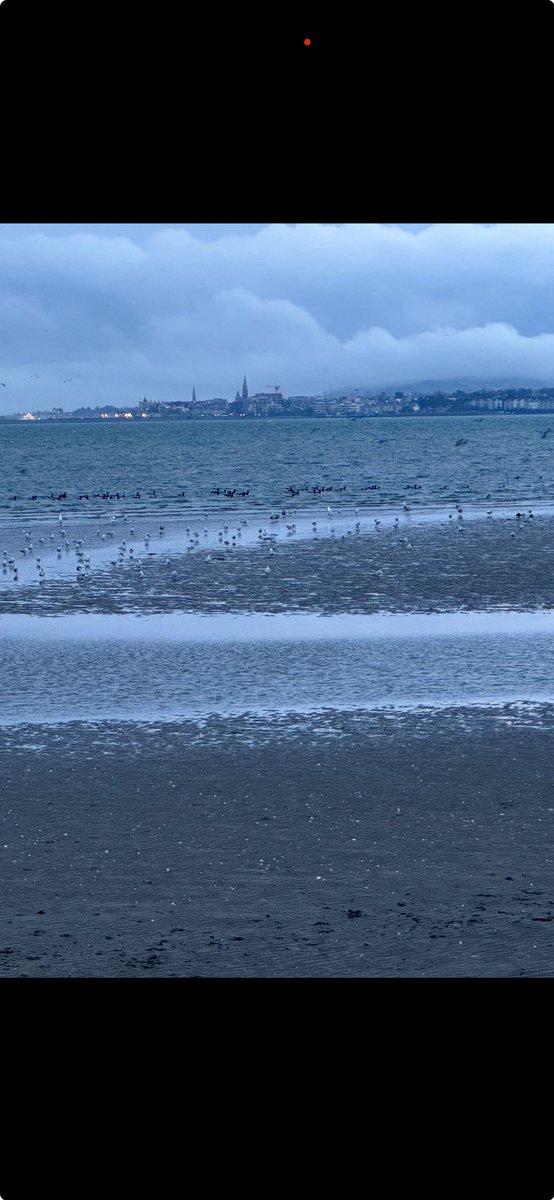 Suzanne Indja tweet media