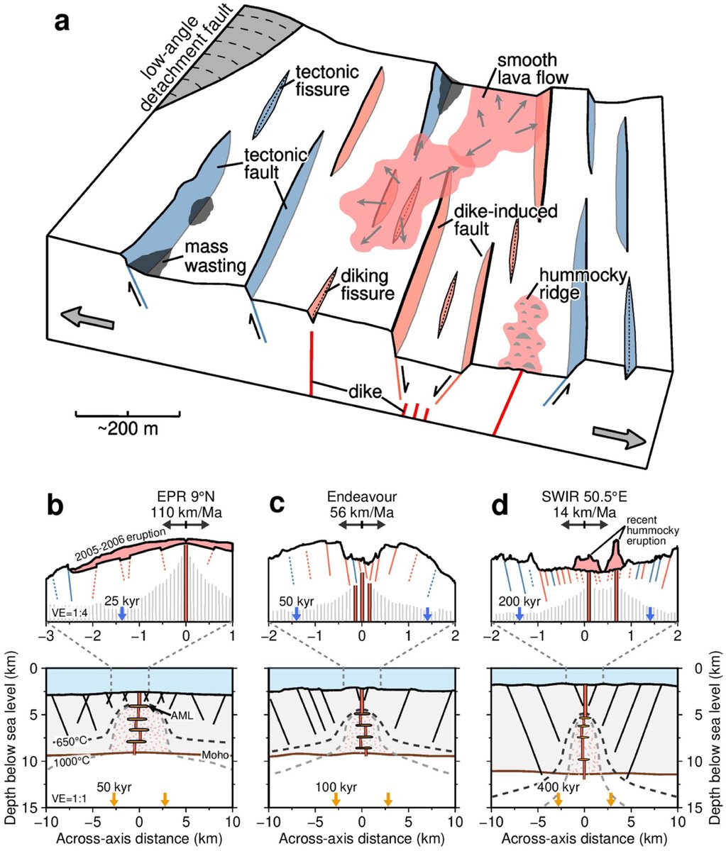 Fault scarps at Mid-Ocean Ridges (MOR) are recognizable on the seafloor, and often measured to estimate the tectonic component of plate divergence. This estimate, based on linear fault scarp parameters, is referred to as apparent tectonic strain (ATS). A team of researchers