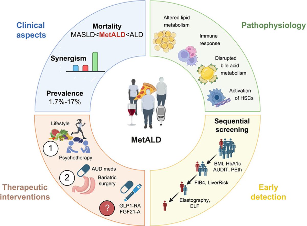JHEP Reports (@jhep_reports) on Twitter photo ❗MetALD: Clinical aspects, pathophysiology and treatment
🔓#OpenAccess at 👉 jhep-reports.eu/article/S2589-…
#LiverTwitter
#MetALD
🙏<a href="/PoseElisa/">ELISA POSE</a>, <a href="/rabataller/">Ramon Bataller</a>, <a href="/JordiGratacos8/">Jordi Gratacós Ginès</a>, et al. ❗MetALD: Clinical aspects, pathophysiology and treatment
🔓#OpenAccess at 👉 jhep-reports.eu/article/S2589-…
#LiverTwitter
#MetALD
🙏<a href="/PoseElisa/">ELISA POSE</a>, <a href="/rabataller/">Ramon Bataller</a>, <a href="/JordiGratacos8/">Jordi Gratacós Ginès</a>, et al.