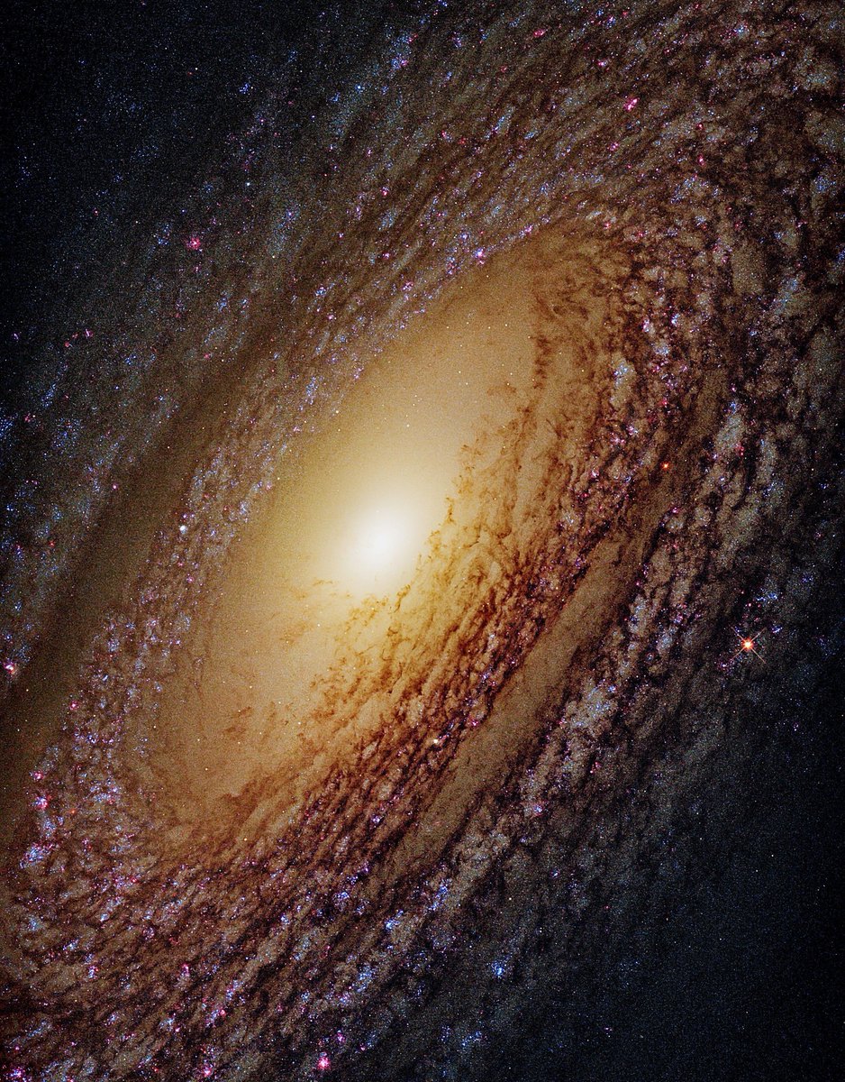 Space 8K tweet media