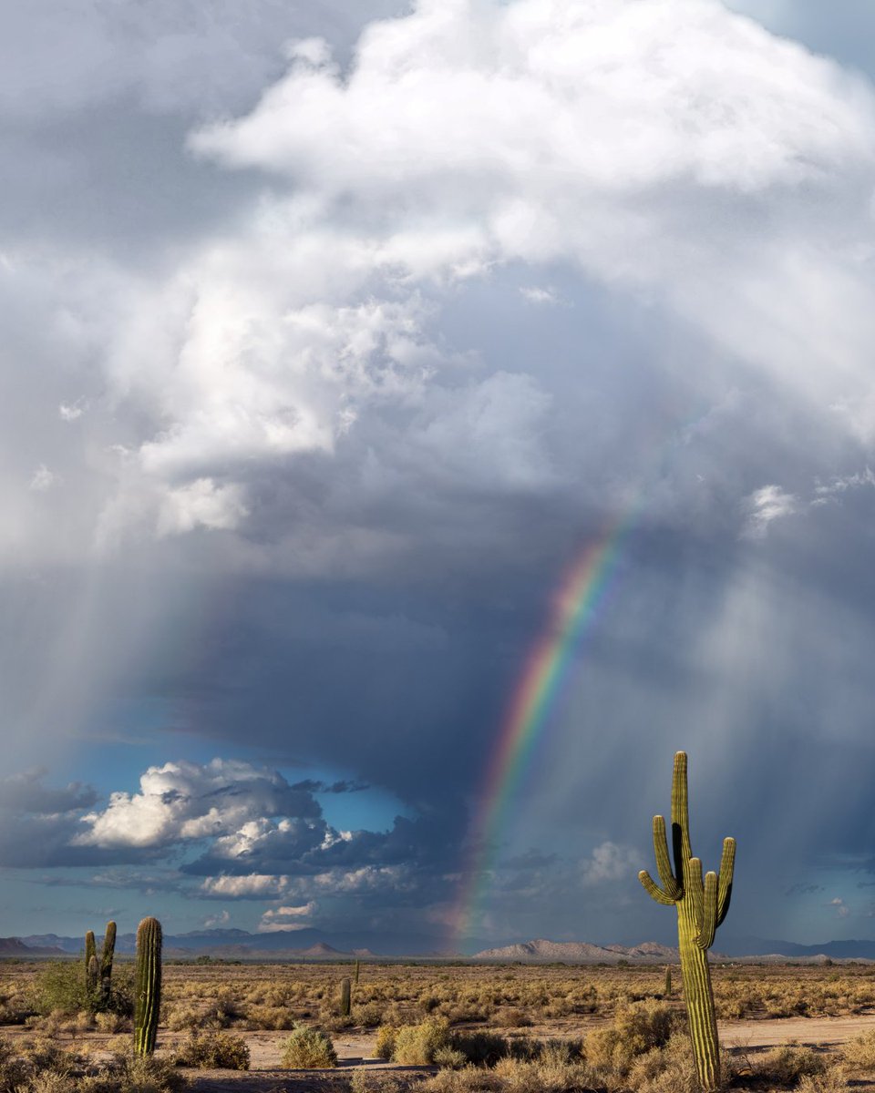 Arizona's landscapes remind us that after every storm, brighter days are on the horizon. Let’s continue working together to create a future where everyone in Arizona has a place to call home. You can help fund housing initiatives!

Visit the link in our bio to learn how.