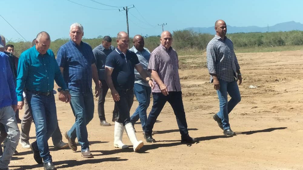 DrRobertoMOjeda's tweet photo. Donde antes el marabú reinaba hoy se levanta el parque solar fotovoltaico "Mango dulce". Ubicado en el artemiseño #Candelaria esta instalación, antes de concluir el presente mes, aportará más de 20MW al Sistema Electroenergético Nacional. #UnidosXCuba https://t.co/k9oKSMLdHH