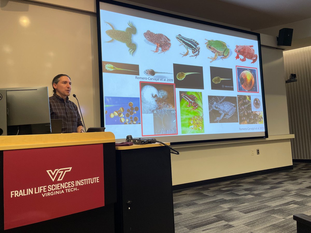 Awesome talk at <a href="/FralinLifeSci/">Fralin Life Sciences Institute</a> by <a href="/andresro40/">Andres Romero-Carvajal</a> from <a href="/PUCE_Ecuador/">PUCE Ecuador</a>. All the coolest frog development you could wish for in one hour!