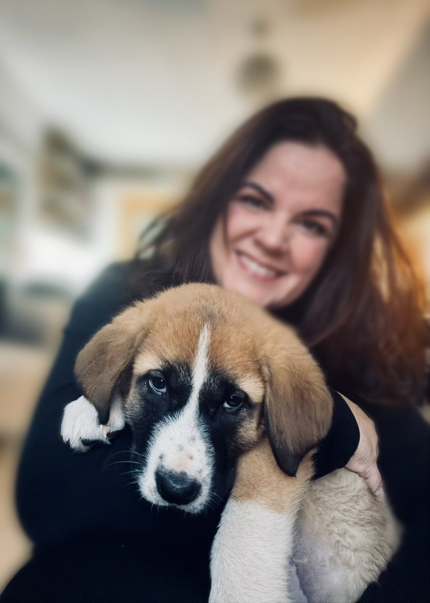 De Reojo tweet media