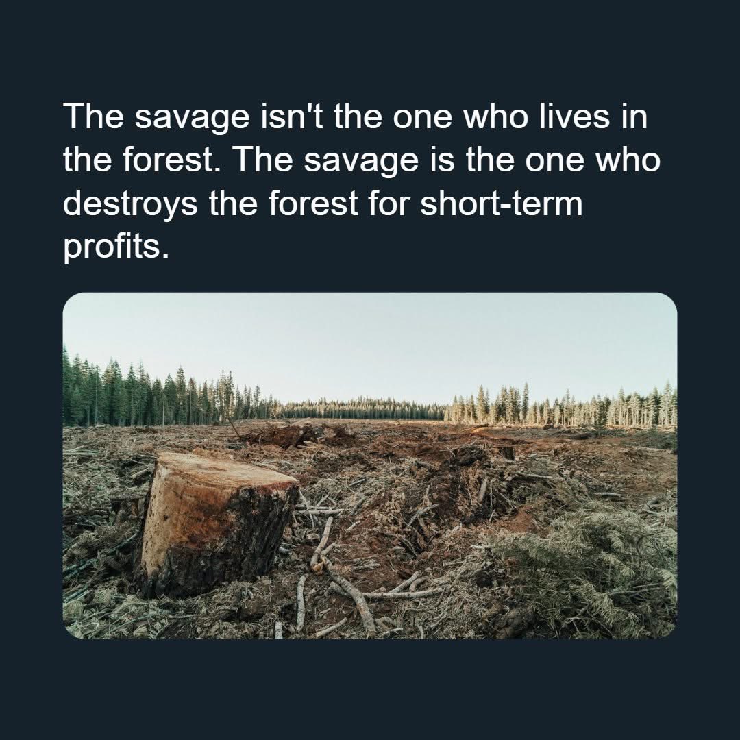 OttTreeHugger's tweet image. Gone but not forgotten 
@FlyYOW @Transport_gc 
#HUNTCLUBFOREST 
#WorthMoreStanding 
#PlantHER🌎 #Ottawa #Ontario #Canada 
Your #mandate is #savage.
#UPDATENEEDED @AnitaAnandMP 
We need to support #ClimateAction through sustainable policies