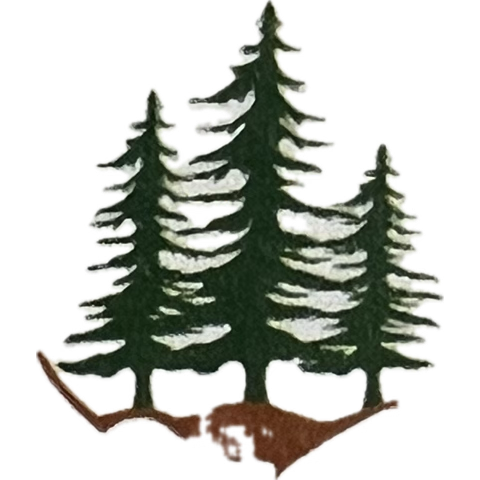 OttTreeHugger's tweet image. Gone but not forgotten 
@FlyYOW @Transport_gc 
#HUNTCLUBFOREST 
#WorthMoreStanding 
#PlantHER🌎 #Ottawa #Ontario #Canada 
Your #mandate is #savage.
#UPDATENEEDED @AnitaAnandMP 
We need to support #ClimateAction through sustainable policies