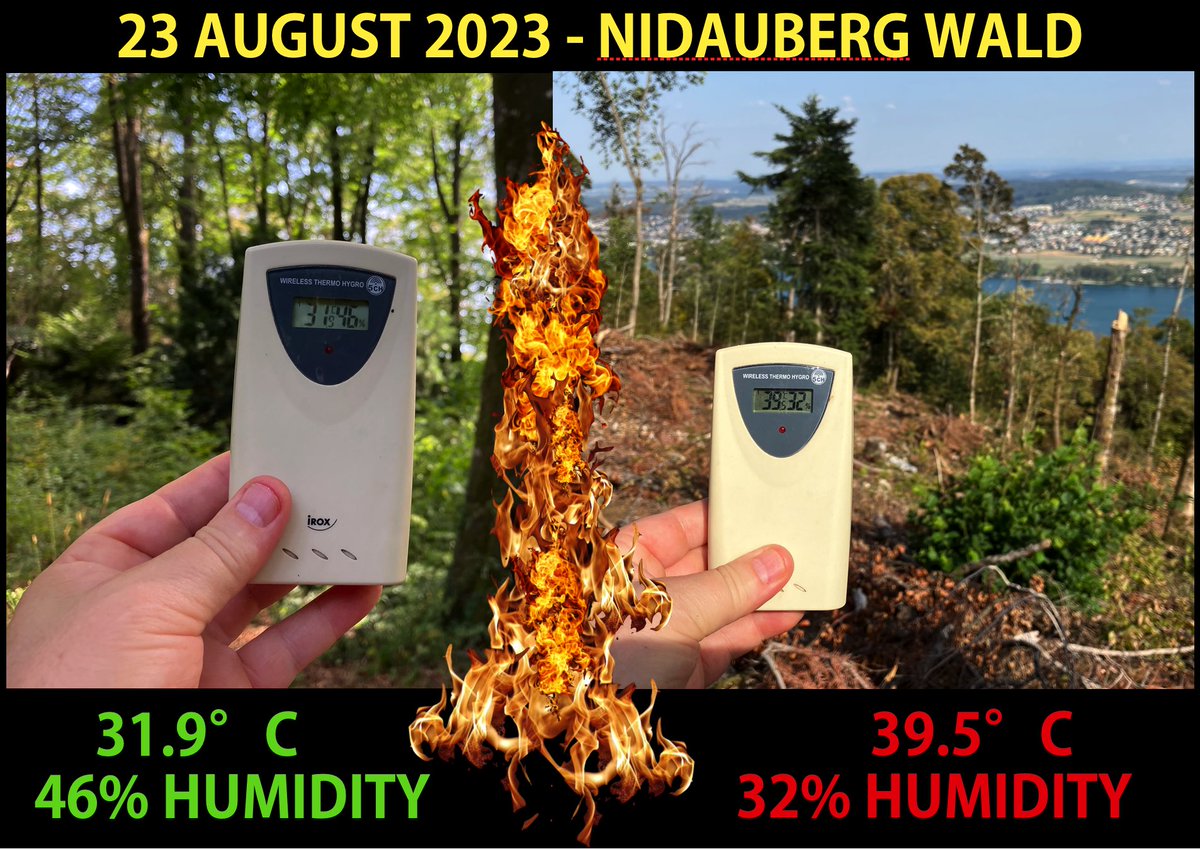 HEIZEN mit HOLZ ist KLIMANEUTRAL?
Aus mehreren Gründen nicht! Hier ist einer davon: 
Jeder fehlende Baum erhöht die Temperaturen &amp; die Trockenheit  massiv - noch BEVOR er verbranntt wird !
#wirdeckenauf #holzofengate #heizenmitholz #klima #gesundheit 
<a href="/bafuCH/">BAFU - OFEV - UFAM - FOEN</a> <a href="/Bundesrat_CH/">Landesregierung</a>