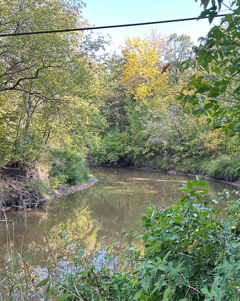 The Seine River IWMP outlines 6 main issues to improve watershed health. 

#1: Surface water management

#2: Surface water quality

#3: Groundwater

#4: Management of the Seine River

#5: Land Use Planning

#6: Watershed Awareness