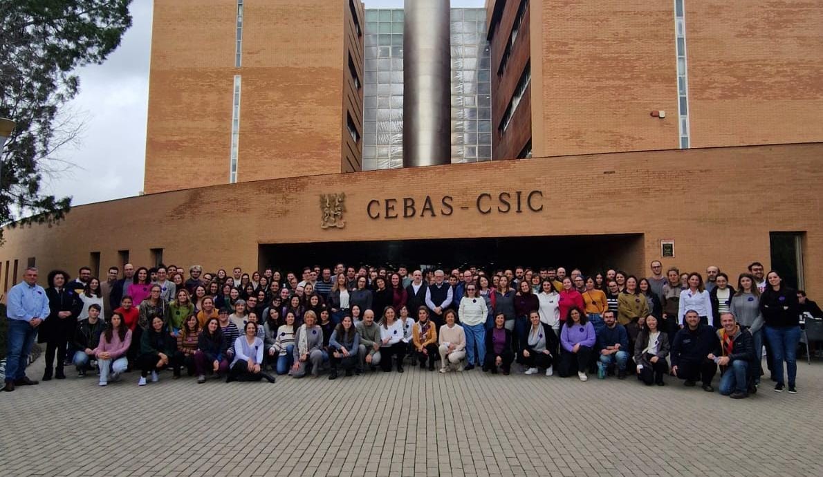Manifestación en el CEBAS,
Las feministas avanzamos unidas.
#8M