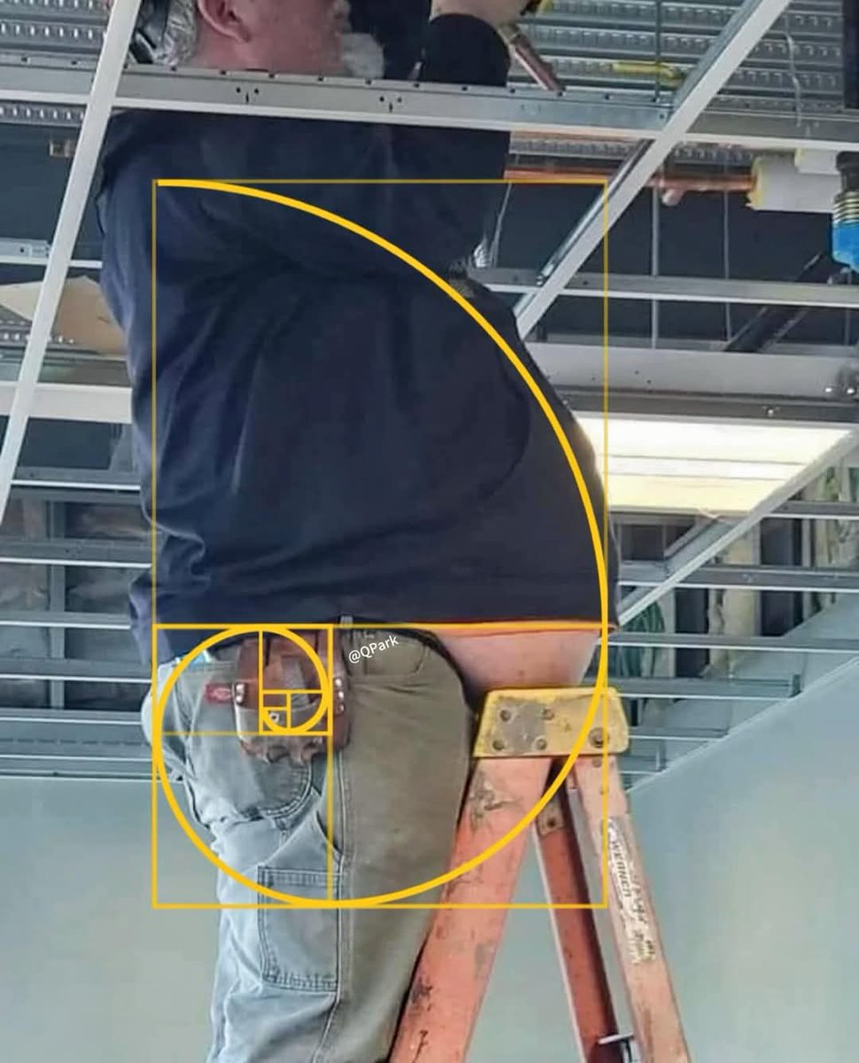 PumpLordMeme's tweet photo. The golden ratio has been discovered 🧑‍🔬 https://t.co/ZINogaJNRY